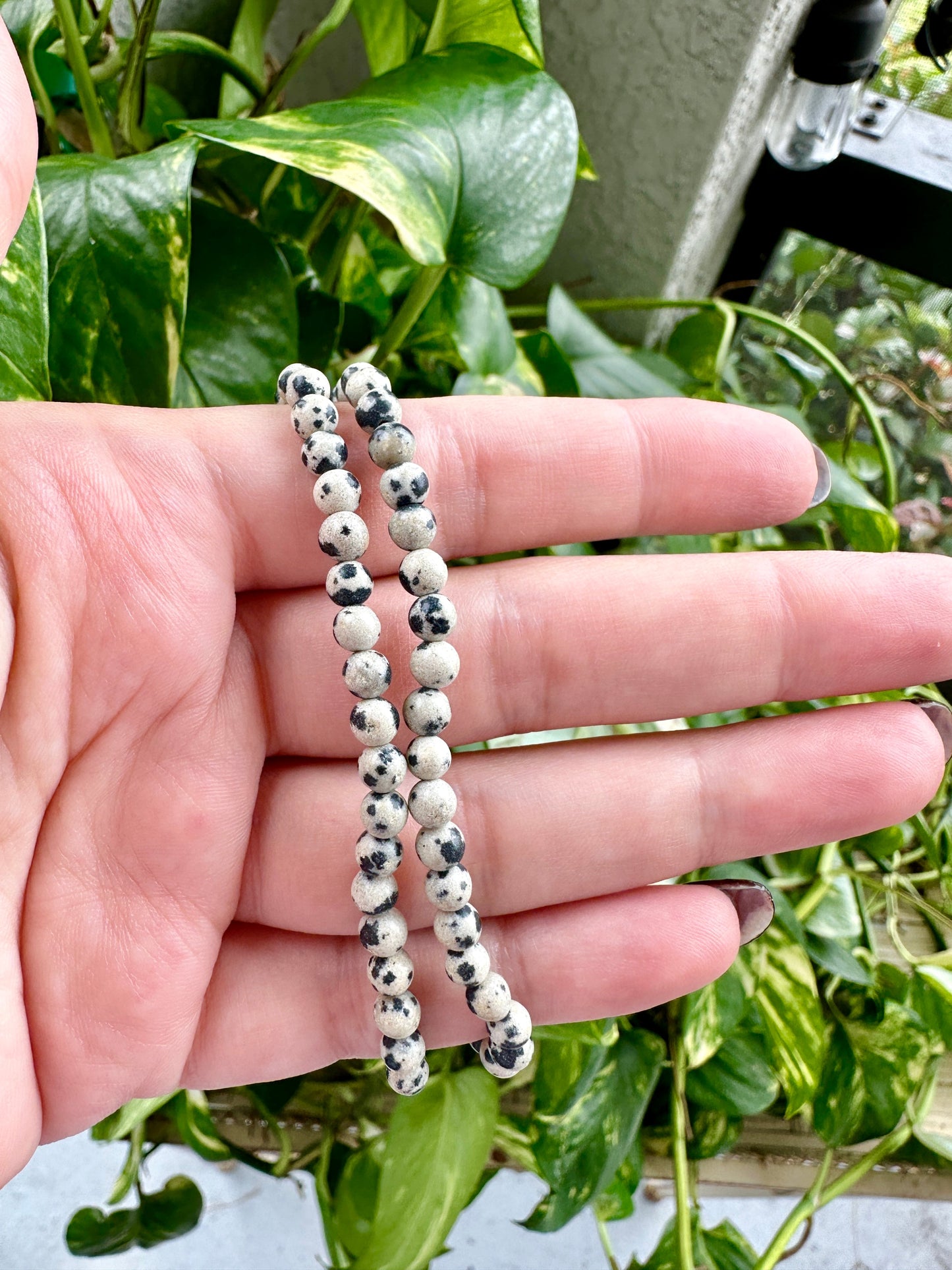 Dalmatian Jasper Bracelet 4mm Beads - Playful Protection and Grounding Energy, Perfect for Joy and Emotional Balance