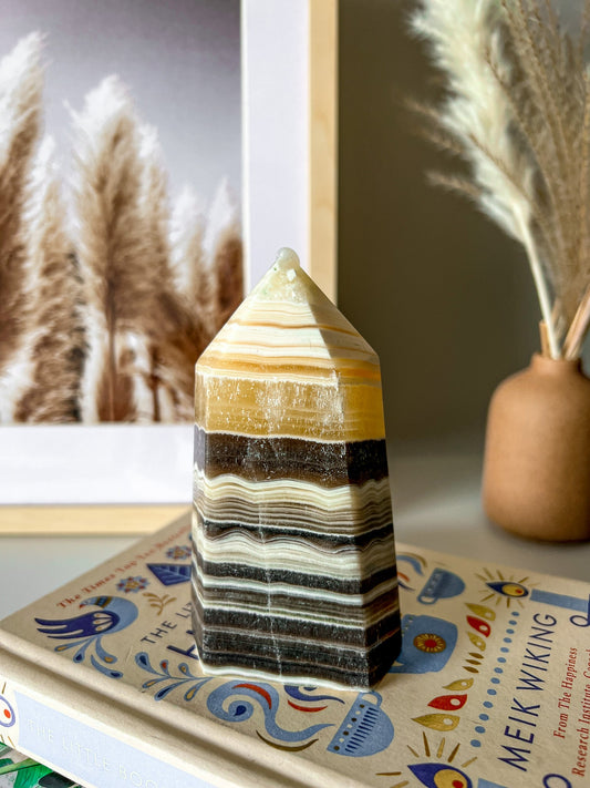 Zebra Jasper Tower